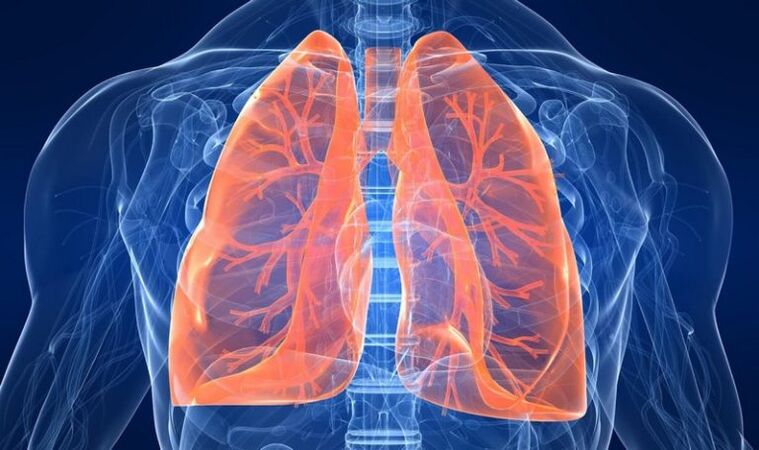 pathology of the lungs as a cause of pain under the left shoulder blade